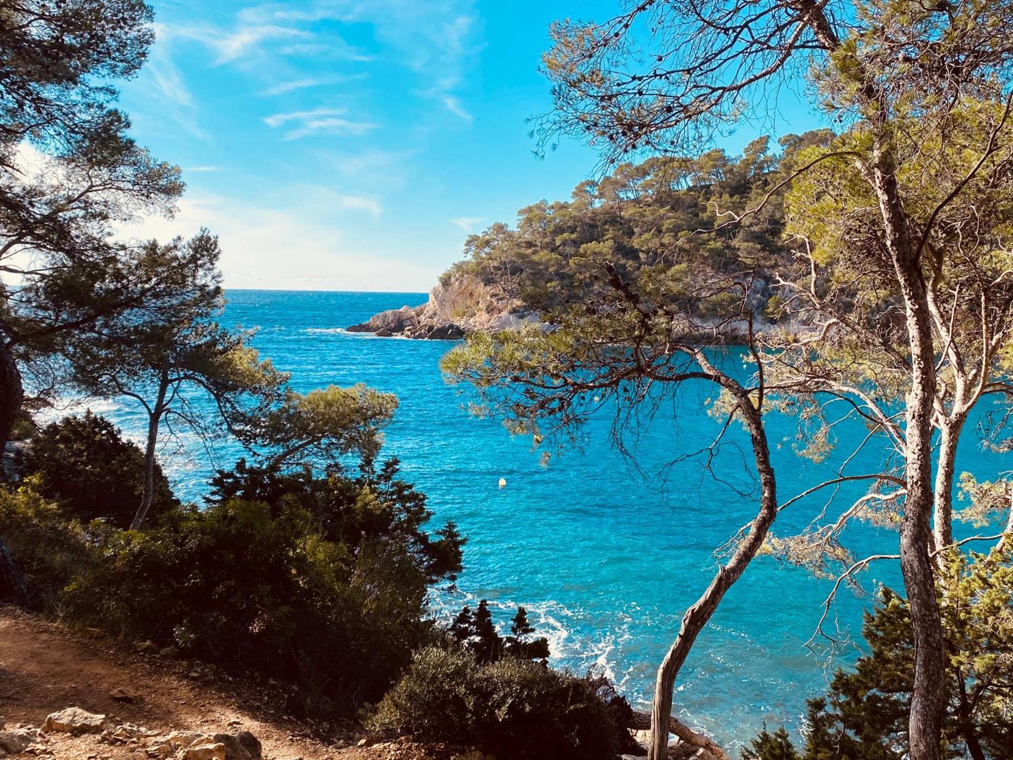 Lodge Entre Ciel Et Mer Saint-Cyr-sur-Mer Zewnętrze zdjęcie